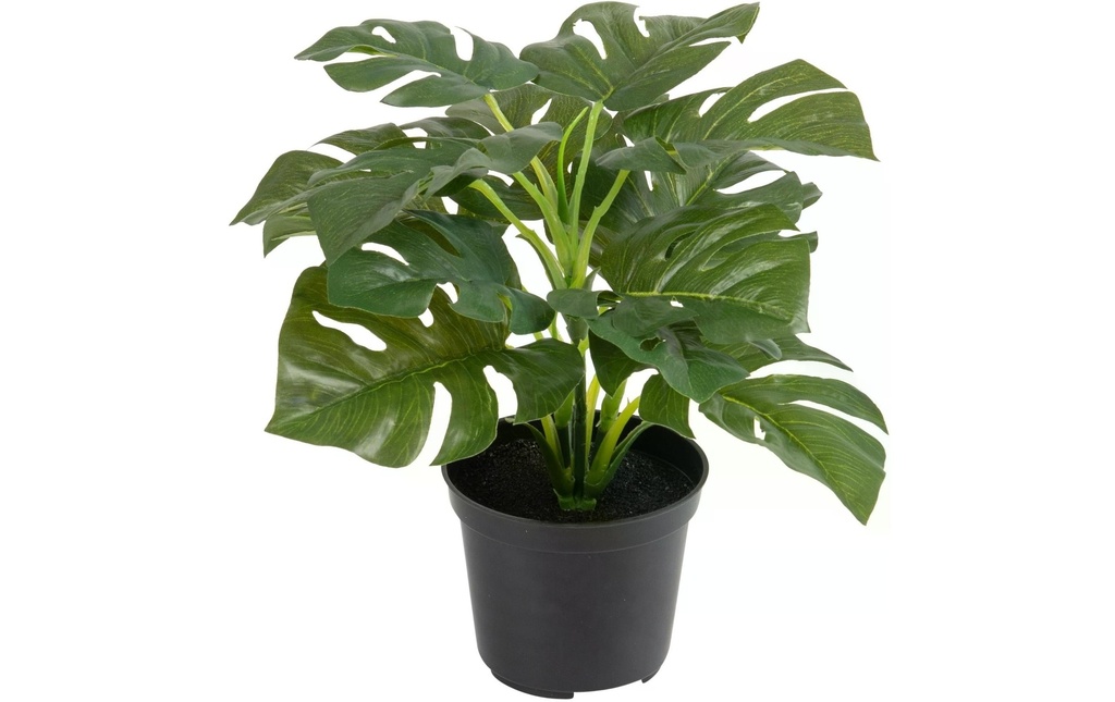 Botanic-Haus Plante artificielle Philodendron en pot 28 cm