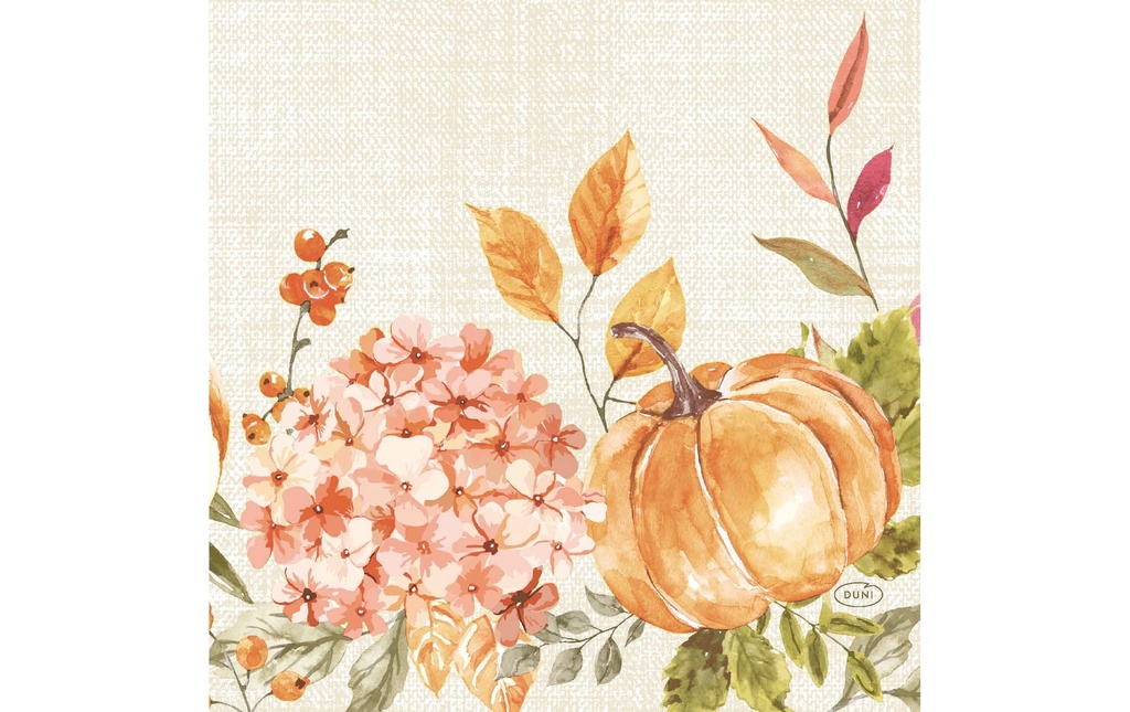 Duni Serviettes en papier Spicy Pumpkin 33 cm x 33 cm, 50 Pièce/s