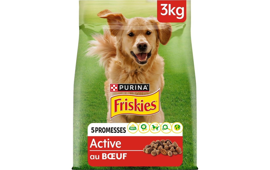 Purina Friskies Alimentation sèche Active chien au bœuf 3 kg