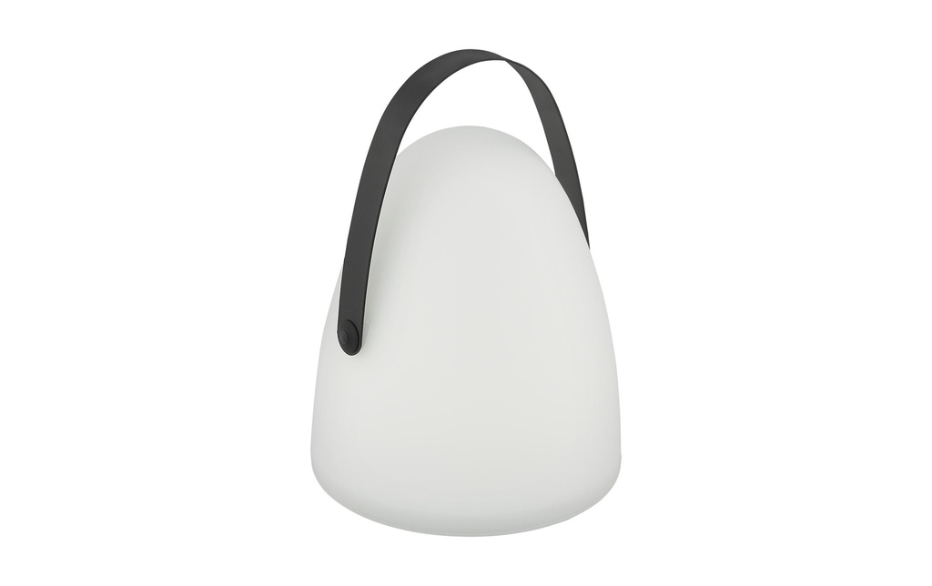 EGLO Leuchten Lanterne avec poignée, Blanc
