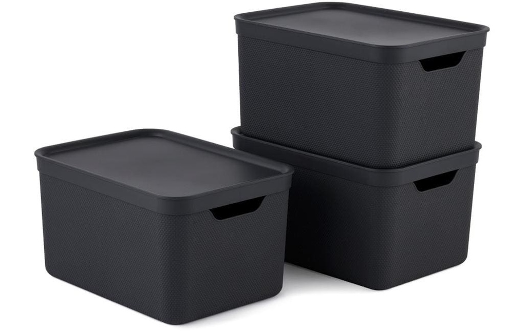 Rotho Boîte de rangement A4 Jive 3 pièces, Gris