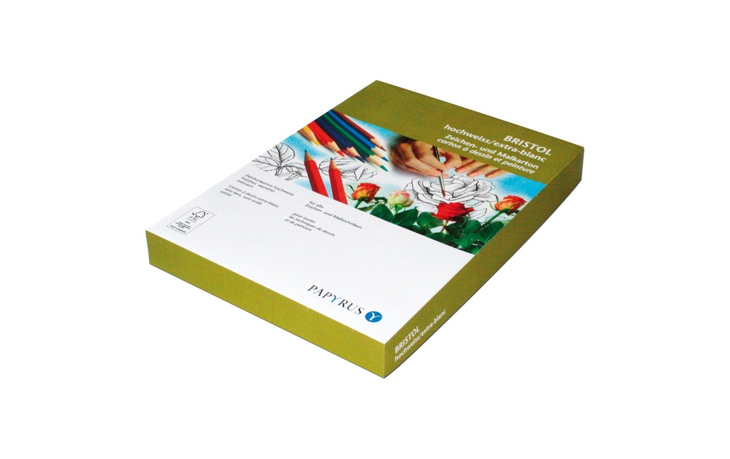 Papyrus Carton de bricolage Bristol A4, 160 g/m², 250 pièces