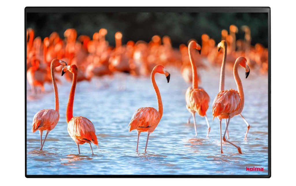 Kolma Sous-main Undercover Poster Flamant rose, 50 x 34 cm
