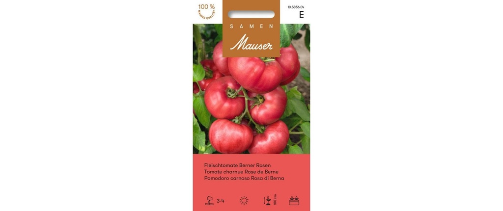 Samen Mauser Semence Viande ancienne variété tomate tomate roses bernoises
