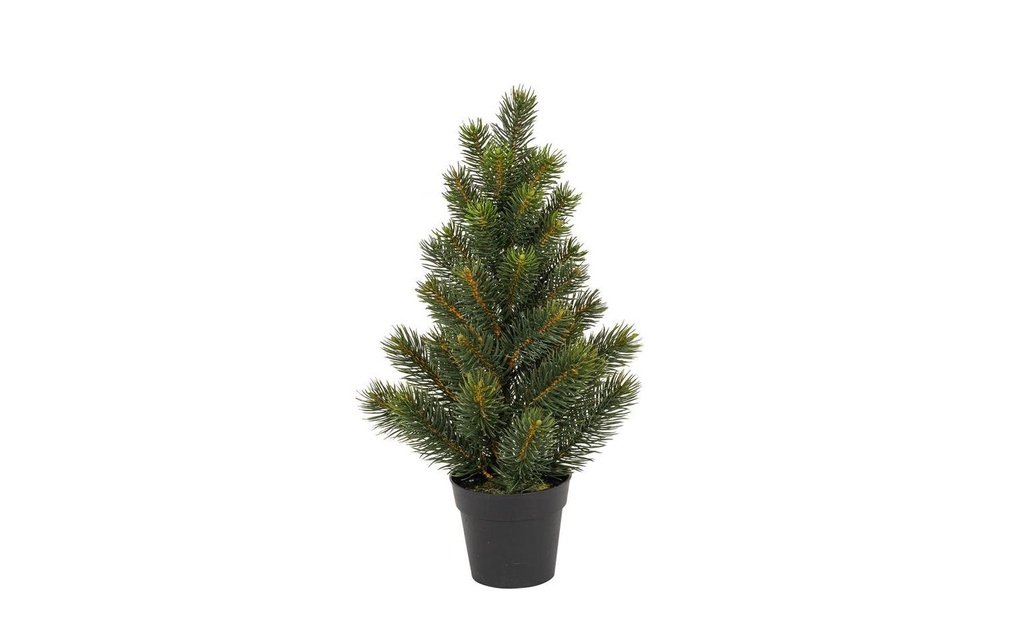 Botanic-Haus Sapin de Noël Sapin dans un pot, 41 cm