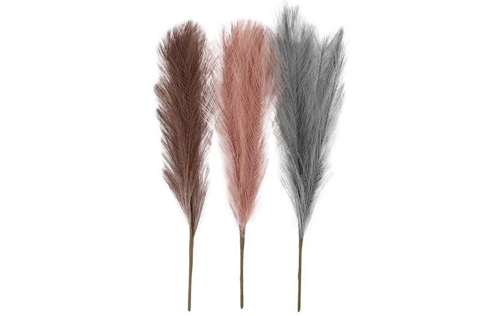 Creativ Company Fleurs séchées 50 cm 3 pièces, Rose, Marron, Gris