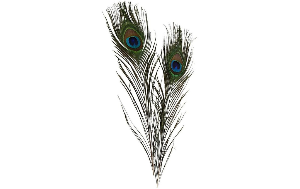 Creativ Company Plumes 25-30 cm 10 pièces