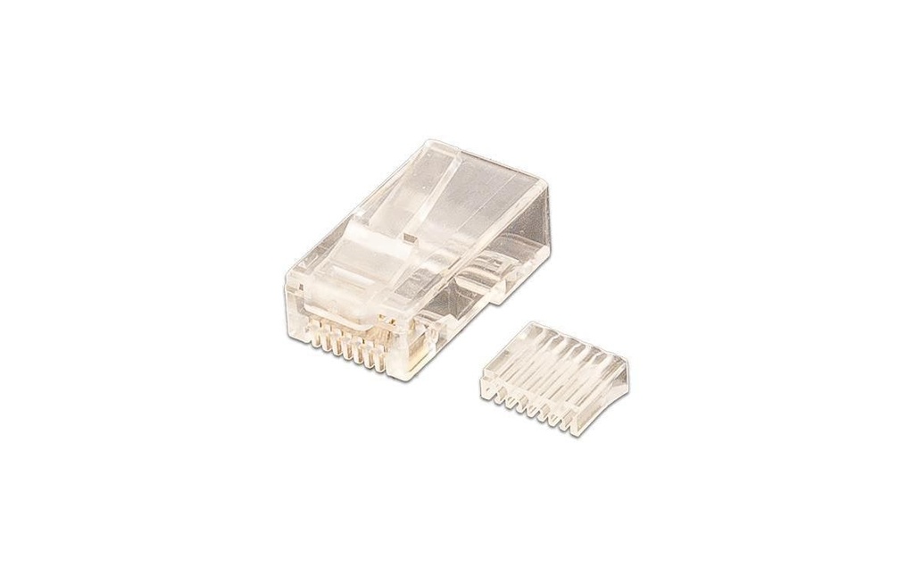 Wirewin Connecteur RJ45 Cat.6 100 pièces, non blindées, aide à l'insertion
