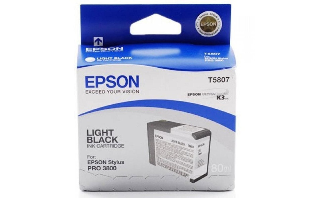Epson Encre Epson C13T580700 Light Black