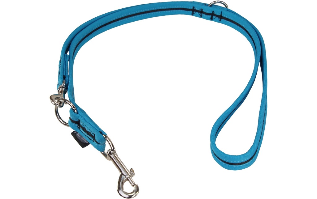 Grossenbacher Laisse de chien 180 cm, 20 mm, Noir/Turquoise
