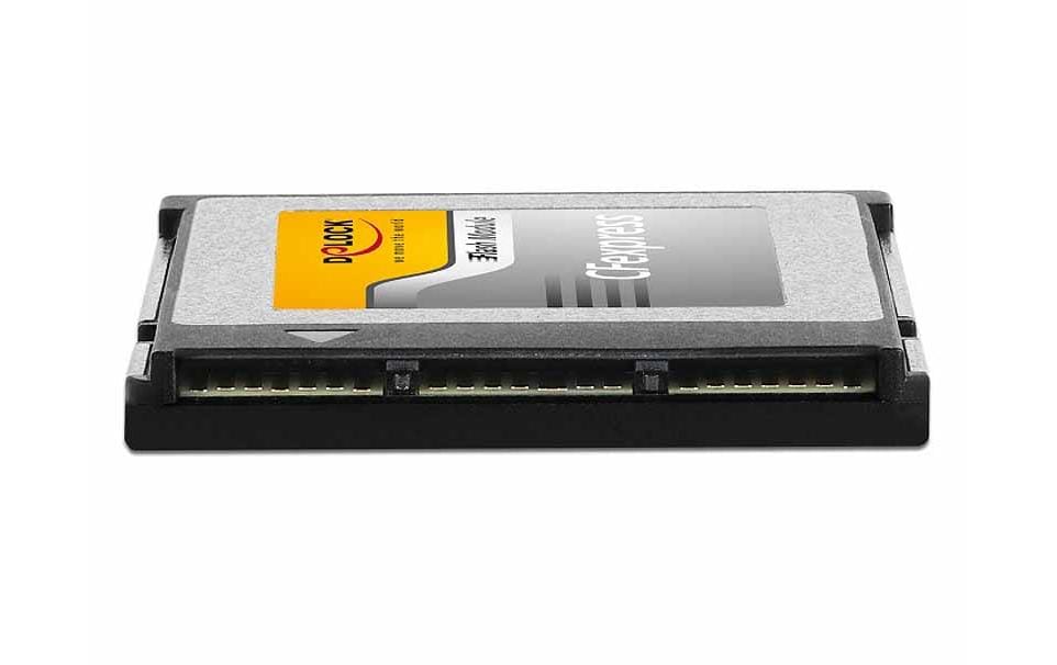 Delock Carte CFexpress 54067 512 GB