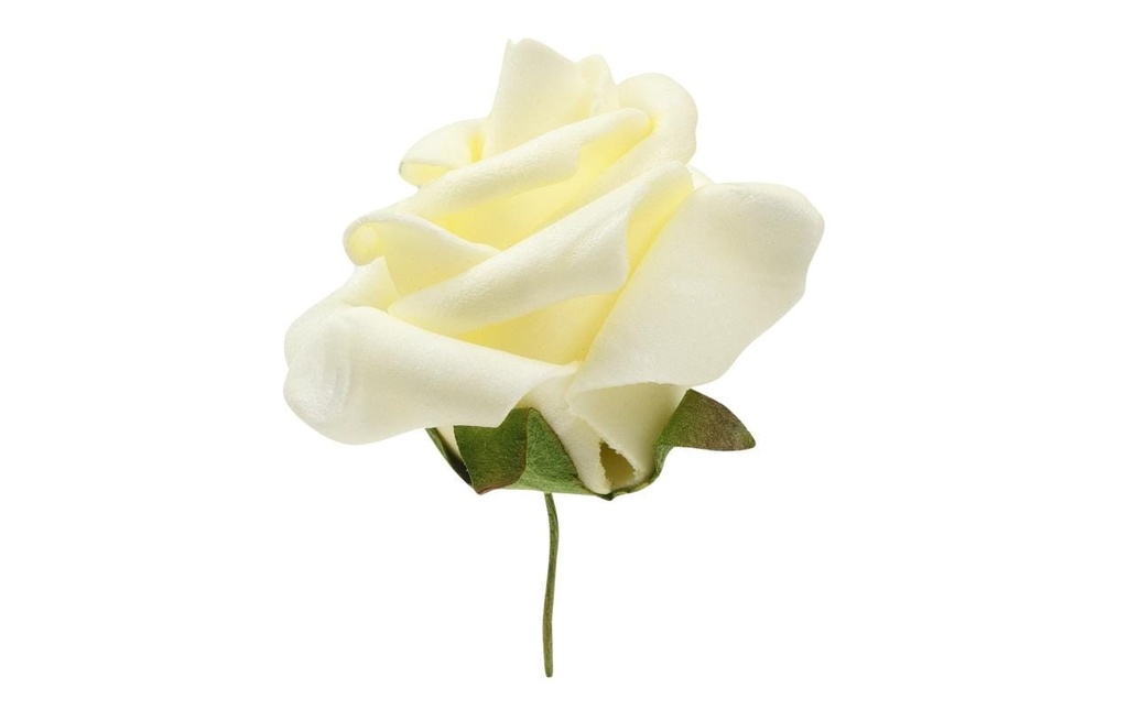 HobbyFun Décoration à éparpiller Roses 12 pièces, crème