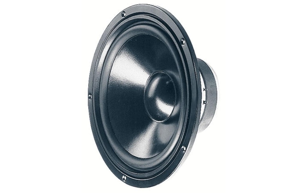 Visaton Haut-parleur de graves HiFi W 250 S