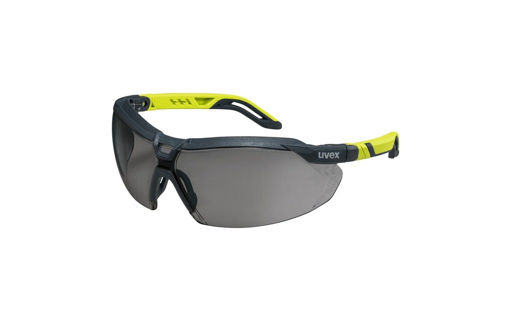 uvex Lunettes de protection i-5, Gris