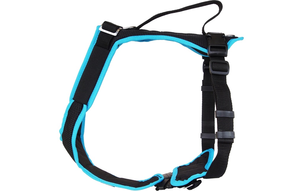 Grossenbacher Harnais Vary, Turquoise