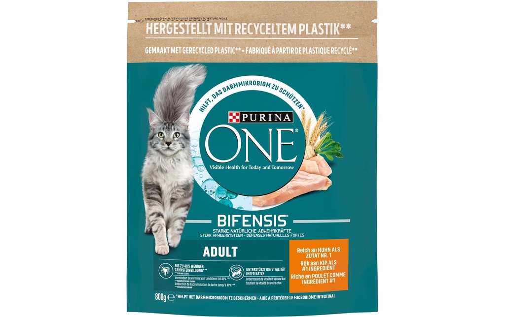 Purina ONE Alimentation sèche Adulte Poulet et farine complète, 800 g