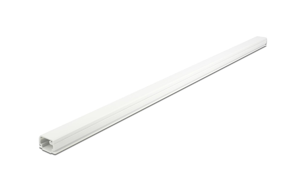 Delock Goulotte autocollant 1 m x 22 mm Blanc