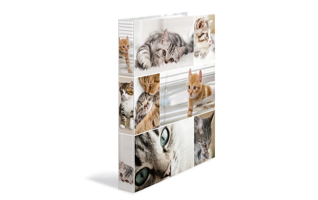 HERMA Couv.anneaux A4 35mm 2A chats