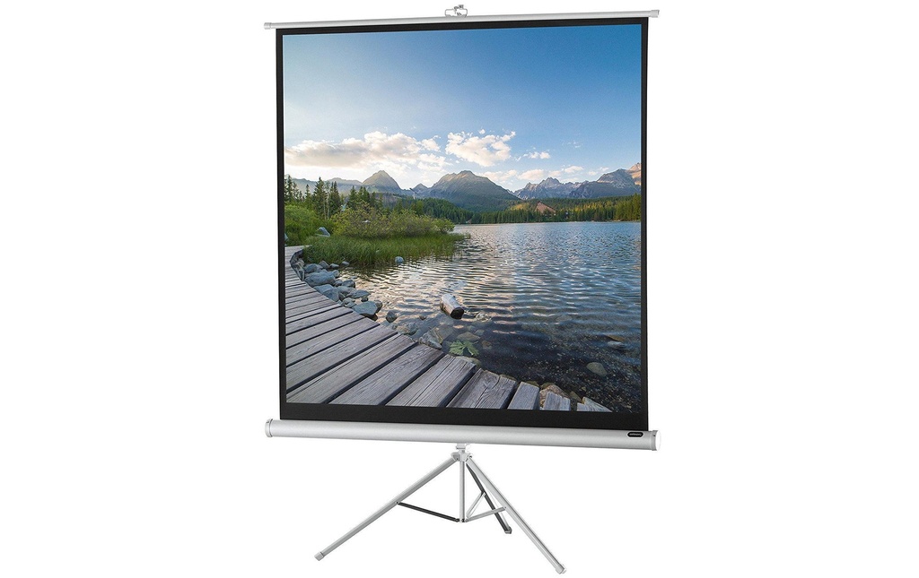 Celexon Écran mural sur pied Eco 184x184 cm 1:1 Blanc