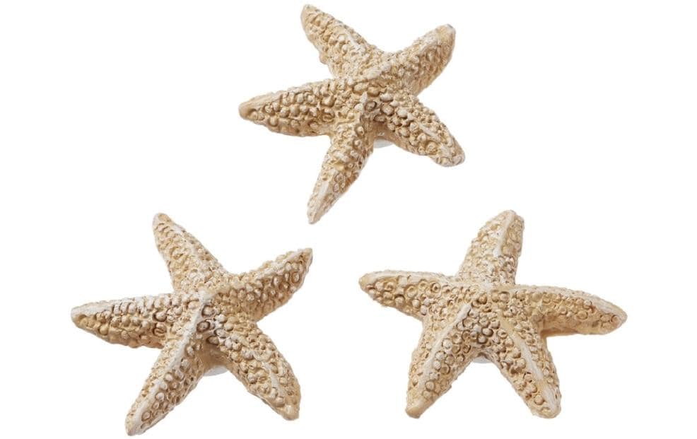 HobbyFun Mini ustensiles Set étoile de mer Nature