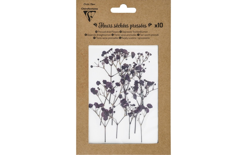 Clairefontaine Fleurs séchées Lavande