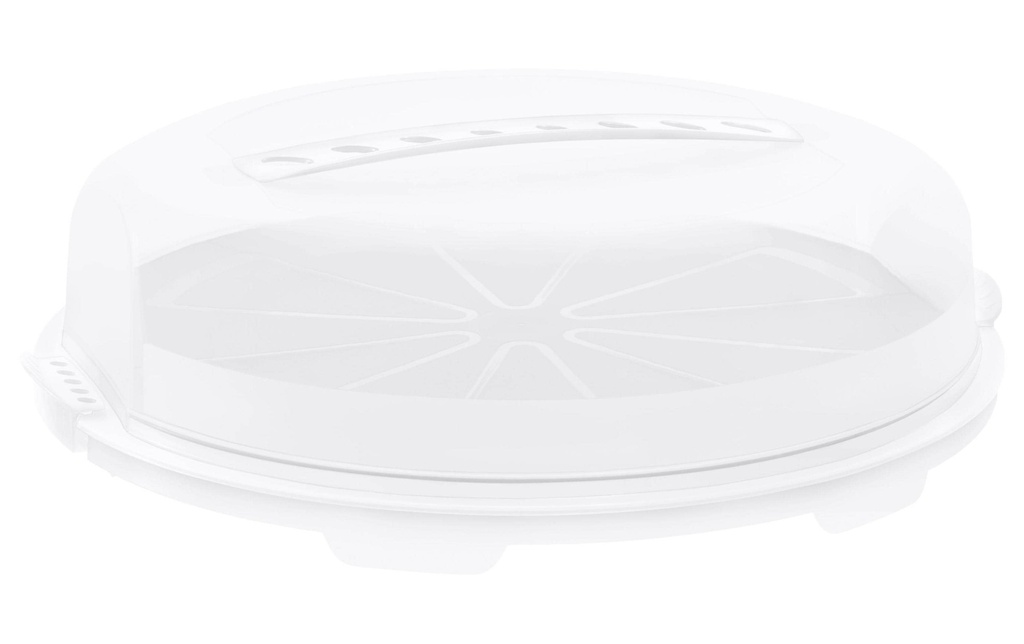 Rotho Boîte de transport pour gâteau Fresh plat, Blanc