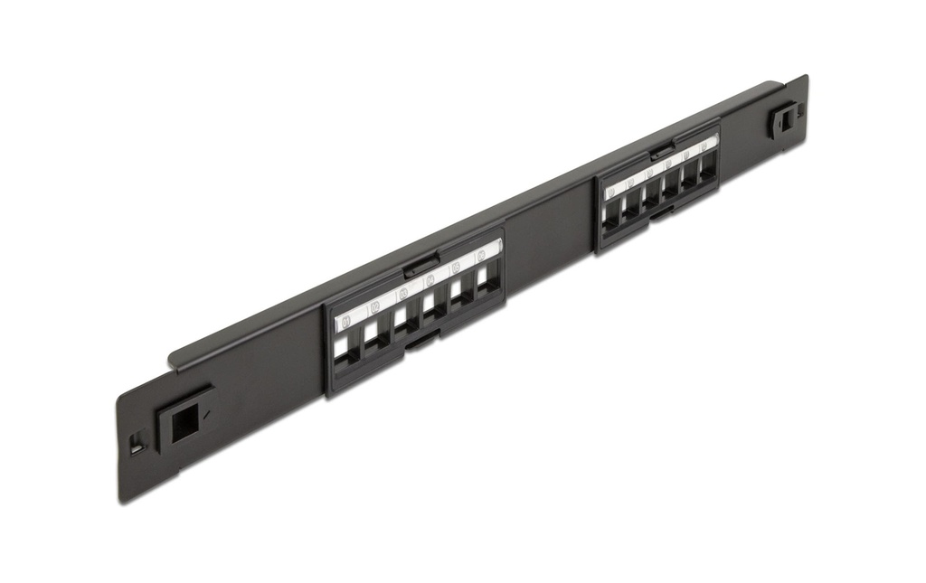 Delock Panneau de brassage 19″ Keystone 12-Ports Rack 19