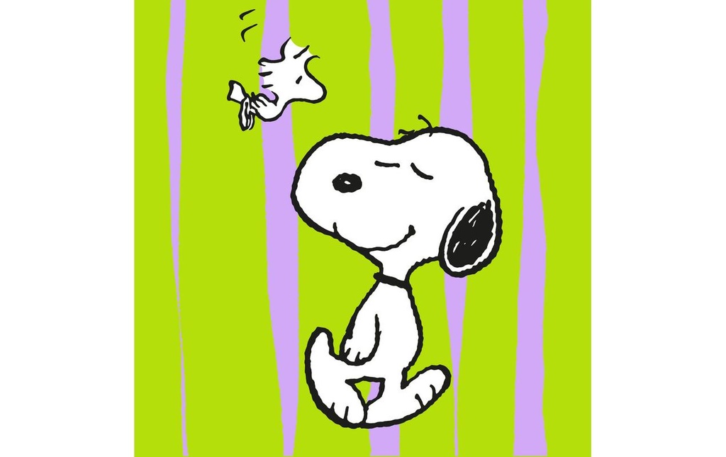 Braun + Company Snoopy vert 20 Pièce/s