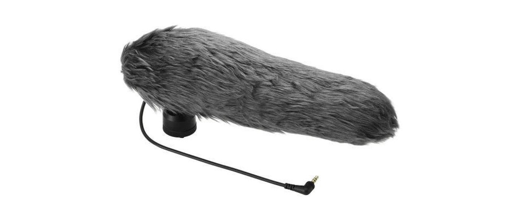 Panasonic Microphone DMW-MS2E