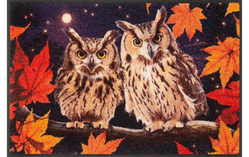 wash+dry Tapis de sol Night Owls 50 cm x 75 cm
