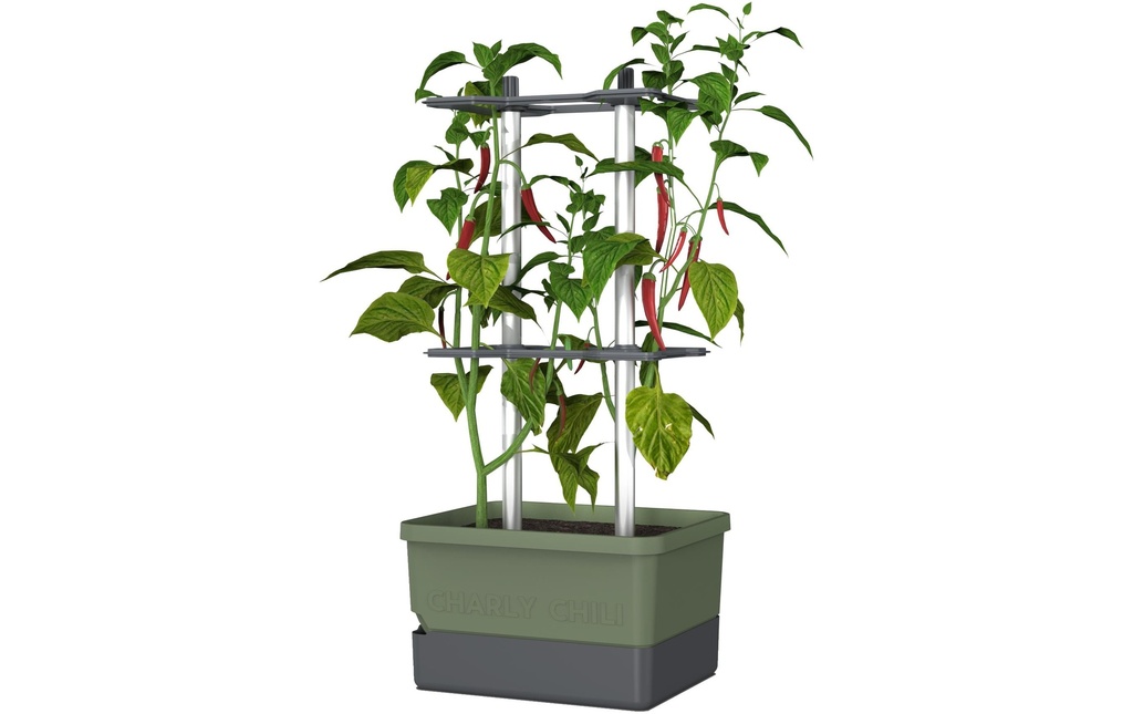 Gusta Garden Pot à fleur Kit de démarrage CHARLY CHILI, Vert foncé