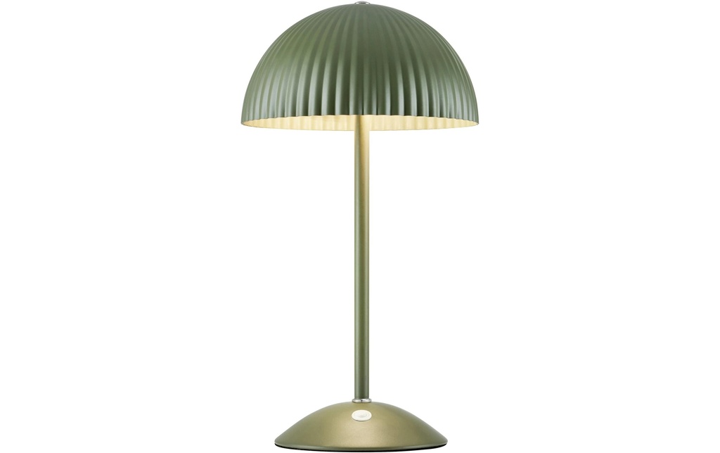 Markslöjd Lampe de bureau ZIN 2 flammes fer Vert