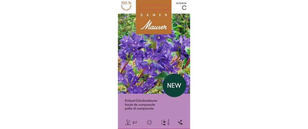 Samen Mauser Campanula glomerata