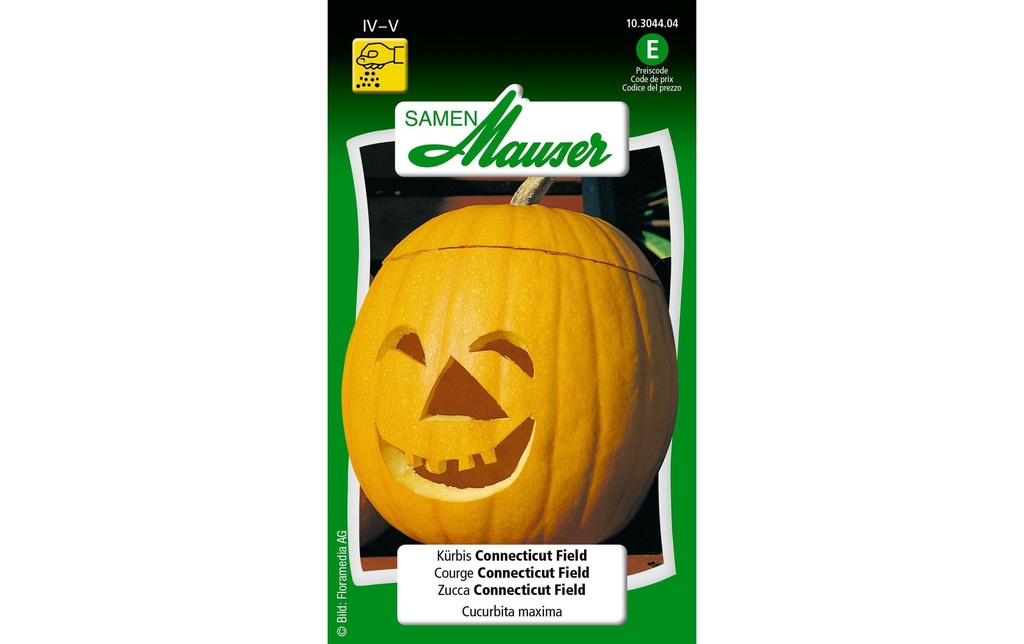 Samen Mauser Semence Pumpkin Connecticut Field
