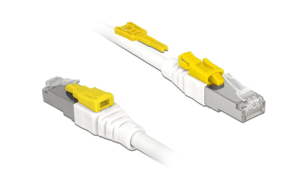 Delock Câble patch  Cat 6A, S/STP, 5 m, Blanc, verrouillable