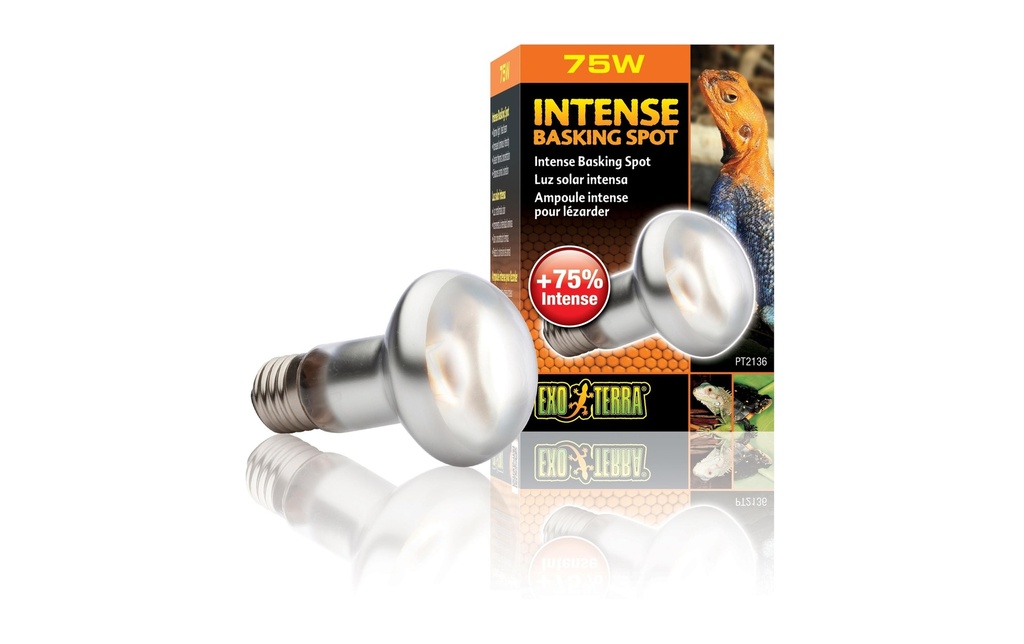 Exo Terra Lampe pour terrarium Intense Basking Spot E27, R20/75W