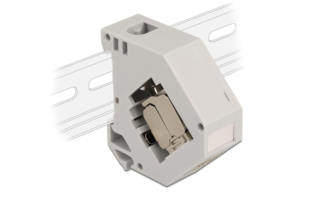 Delock Supports de rail avec module Keystone prise RJ45 Cat.6A LSA