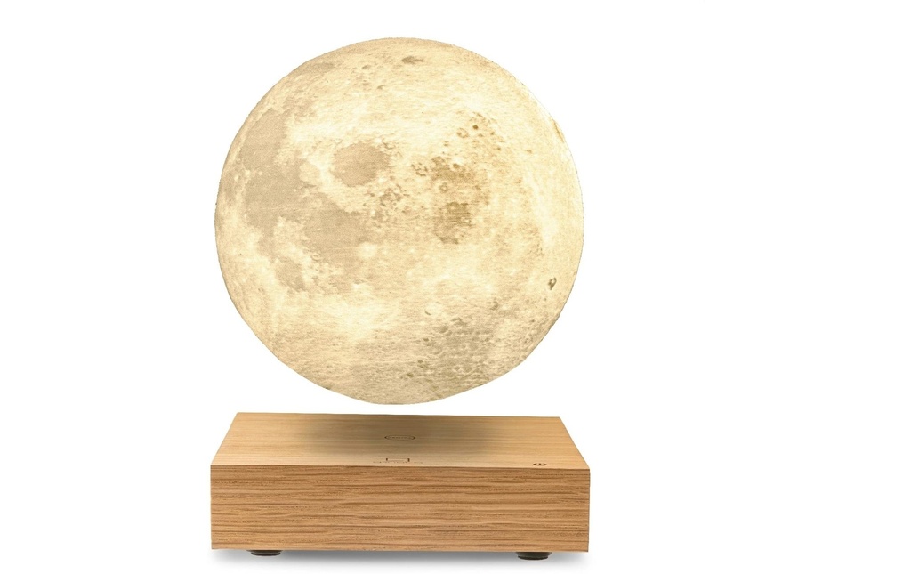 Gingko Lumière d’ambiance à LED Smart Moon Brun