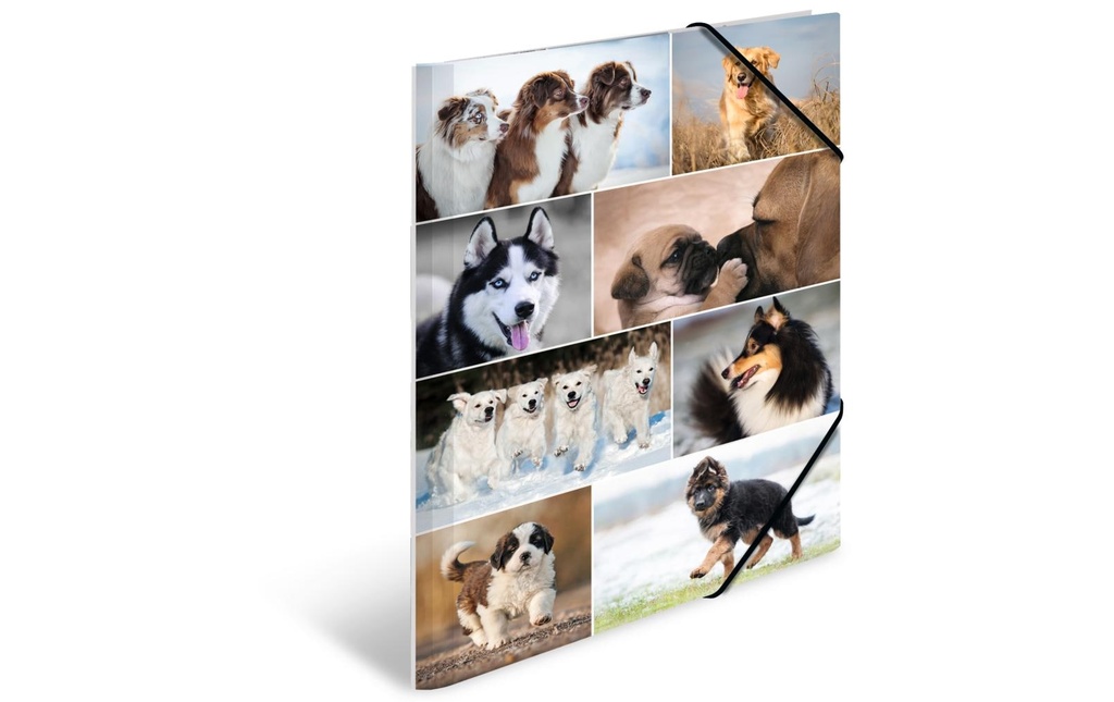 HERMA Portfolio à ruban élastique A3 Chiens, carton, avec impression intérieure