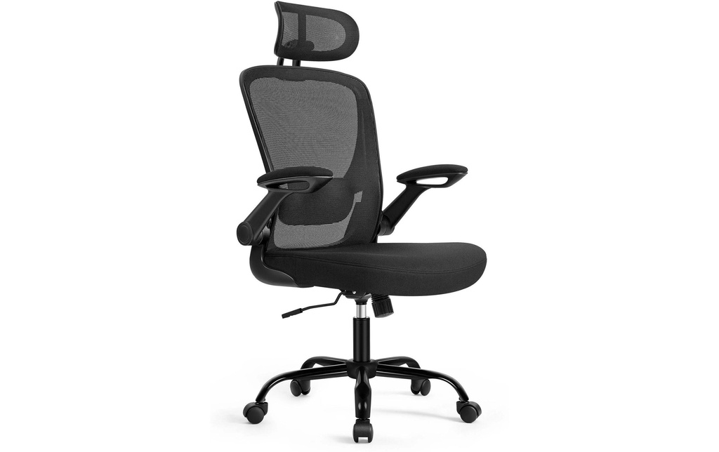 Songmics Chaise de bureau avec accoudoirs rabattables