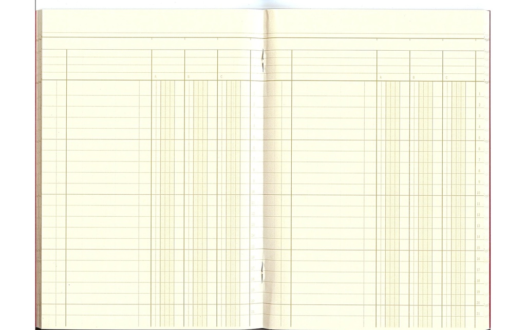 SIMPLEX Livre statistique A5 3col. (80 pces)