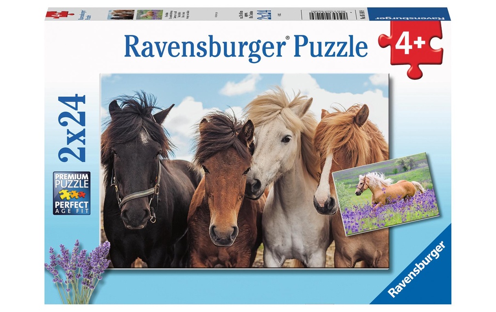 Ravensburger L'amour des chevaux