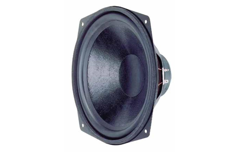 Visaton Haut-parleur de graves WS 25 E