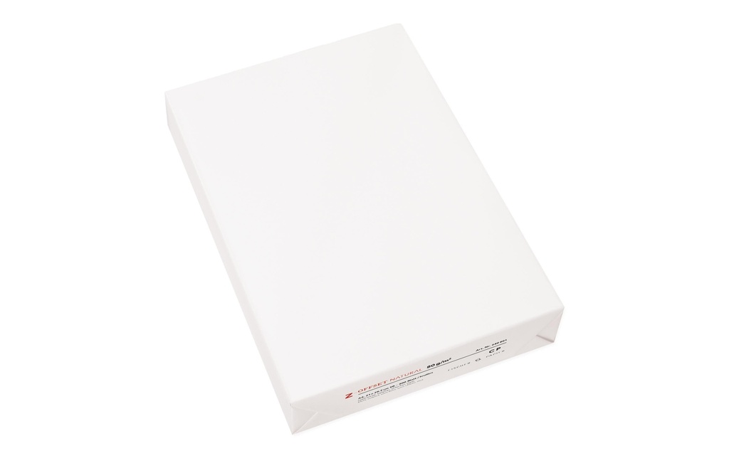 Fischer Papier Papier pour photocopie A4, Blanc, 80 g/m², 2500 Feuille