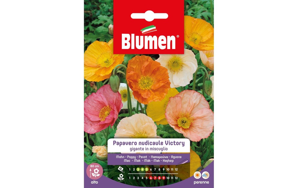 Blumen Semence Pavot Victory Mix