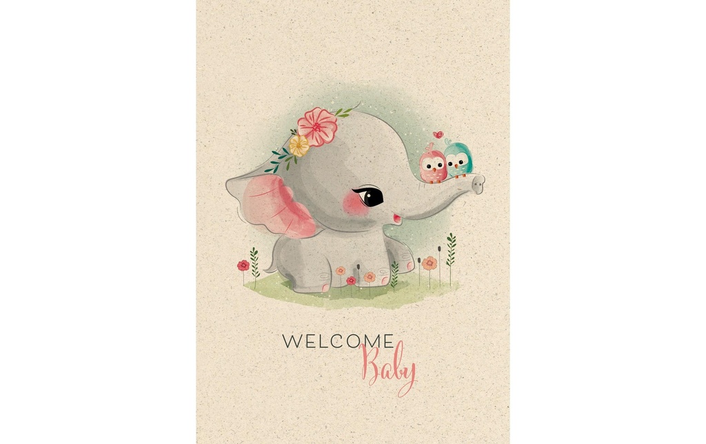 [266400006] NATUR VERLAG Cart papier d'herbe A4 Baby