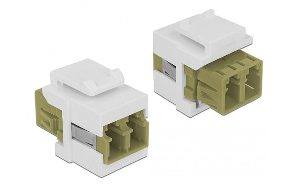 Delock Module Keystone LWL Multimode Duplex LC-LC, OM2