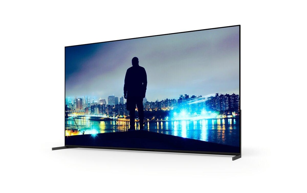 Sony Ecran Public FWD-65XR8M2 65