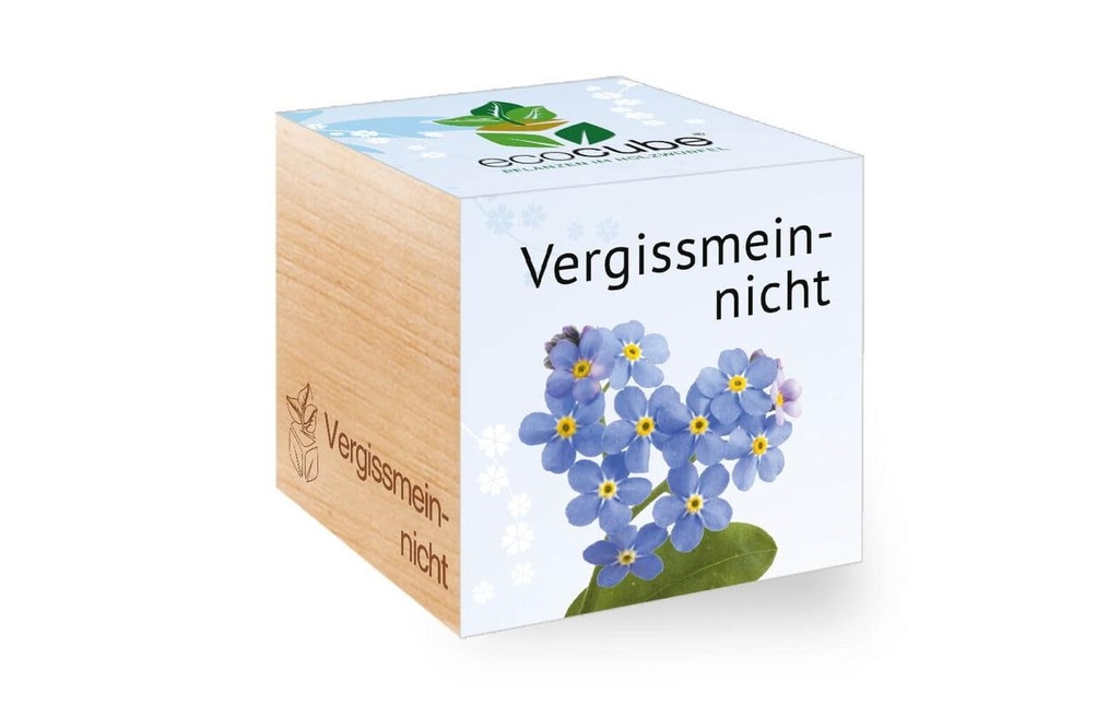 Feel Green Ecocube Myosotis
