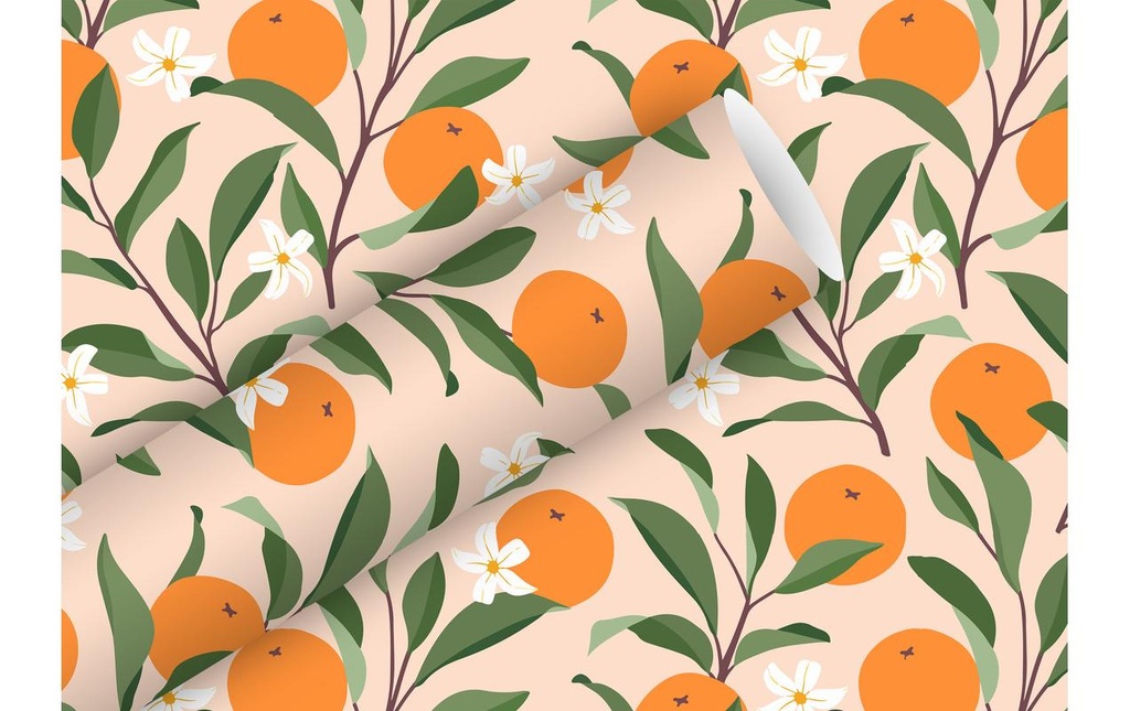 Braun + Company Papier cadeau Amalfi, 2 m x 70 cm